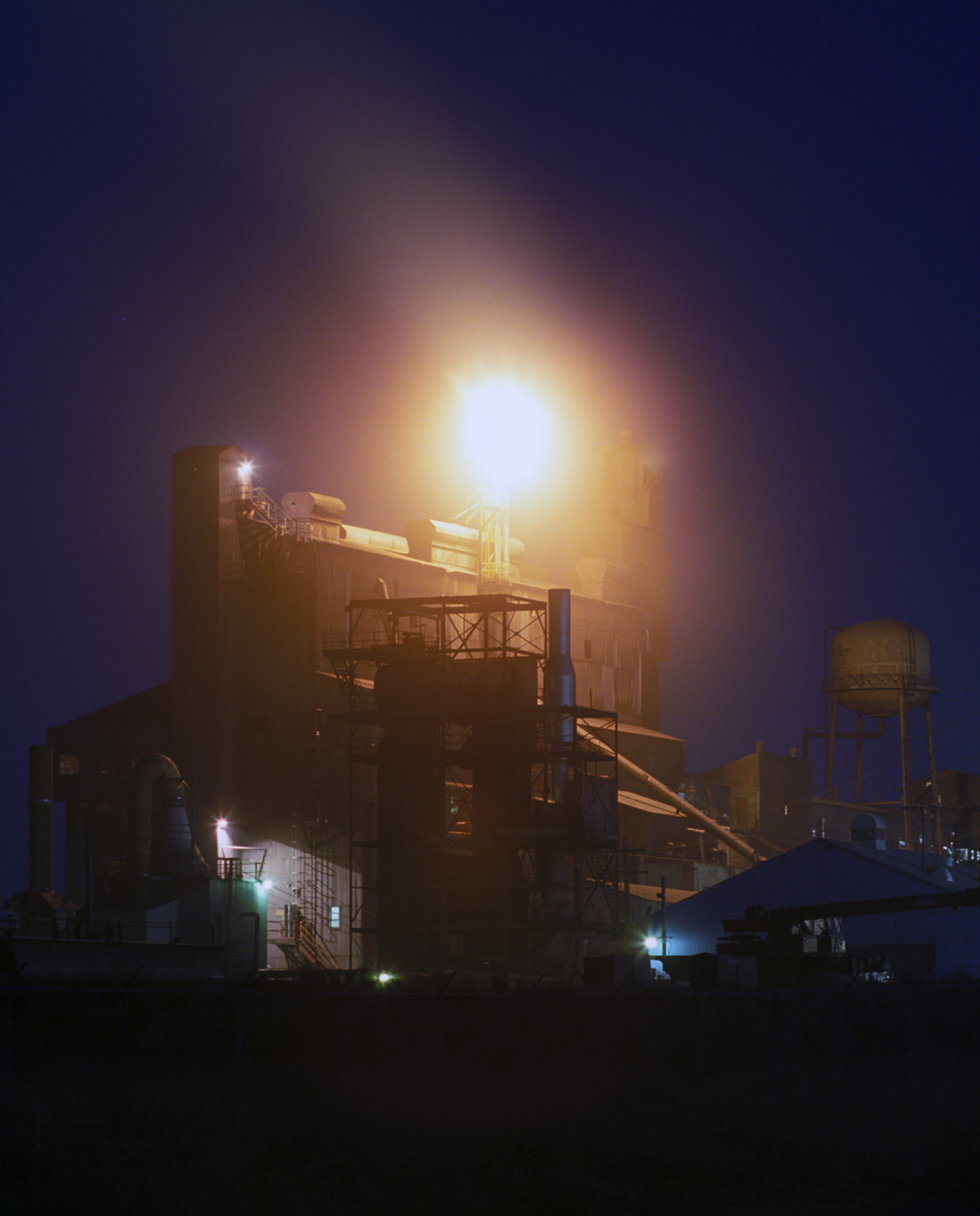 Works Canola 2
